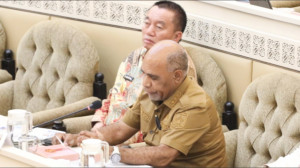 Hadiri Raker dan RDP di Komisi II DPR-RI, Ini yang Disampaikan Wagub Papua Tengah