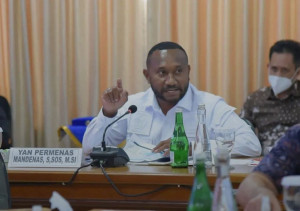 Yan Mandenas Ajak Masyarakat Laporkan Oknum Aparat yang Bekingi Tambang Ilegal di Papua