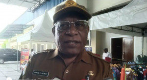 Potensi Tambang Papua Tengah Besar, Namun Dihantui Aktivitas Ilegal