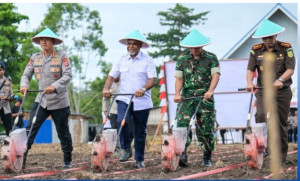Pemprov dan Polri Papua Tengah Kolaborasi Dukung Ketahanan Pangan Lewat Penanaman Jagung Serentak