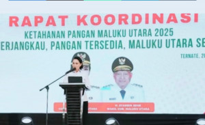 Tiga Langkah Gubernur Malut Kendalikan Harga Pangan