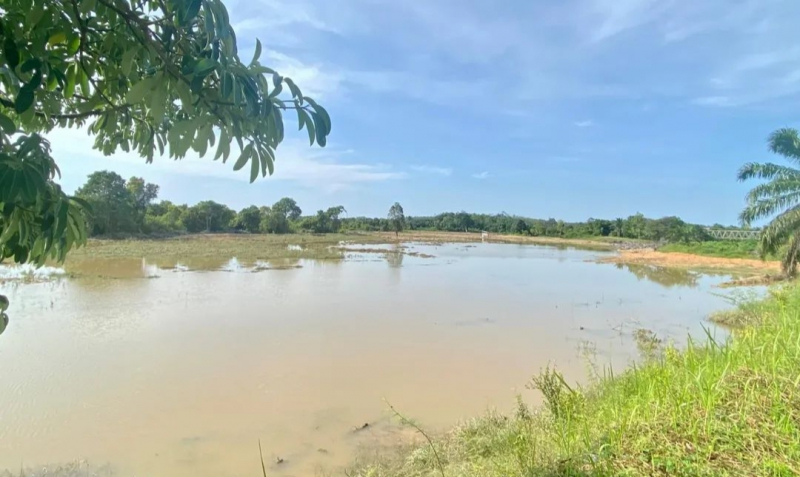 Lokasi Cetak Sawah di Kecamatan Muarabulian Tergenang Banjir