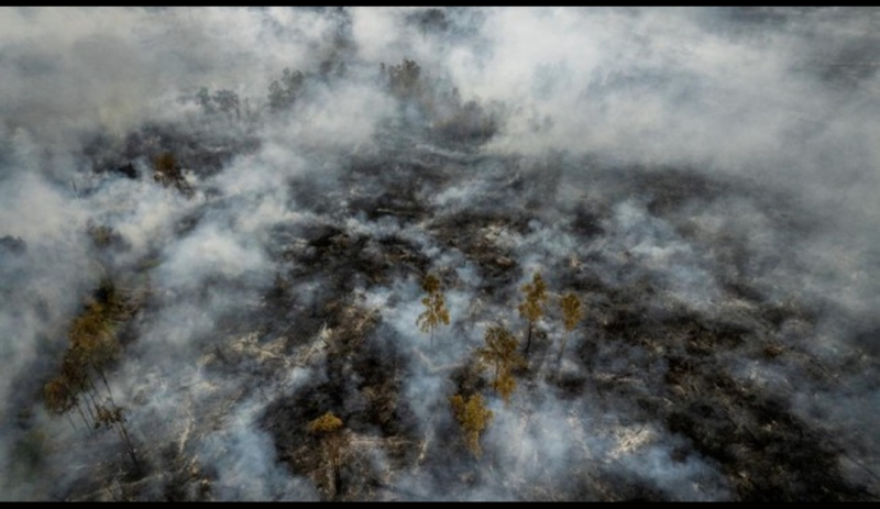 Kebakaran Hutan di Kalimantan Masih Berlangsung 